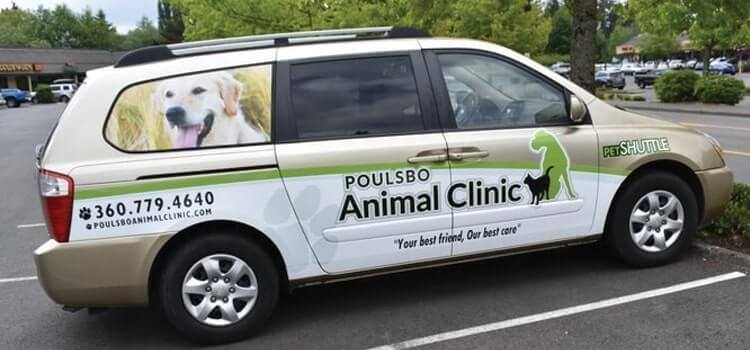 Vet Near Me 98370 - Pet Shuttle Vet Transport - Poulsbo ...