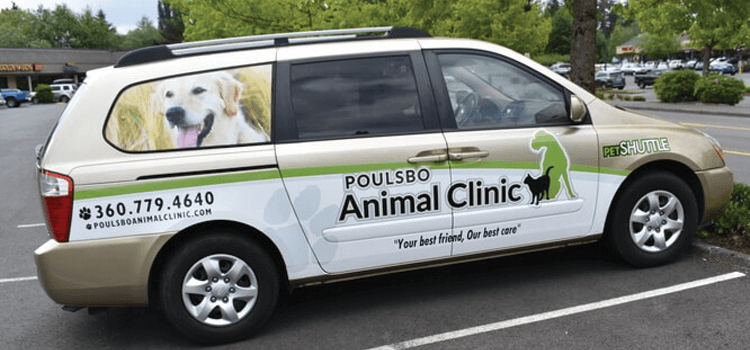 Pet Shuttle Service