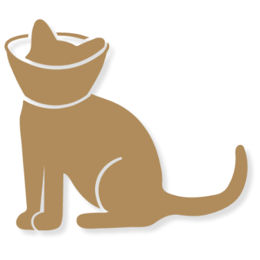 Pet Surgery Icon